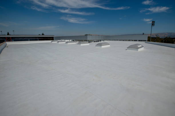 Best Sheet Metal Roofing  in Homedale, ID