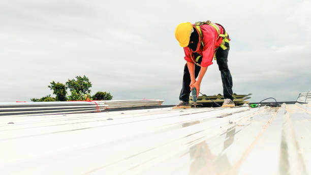 Best Chimney Flashing Repair  in Homedale, ID