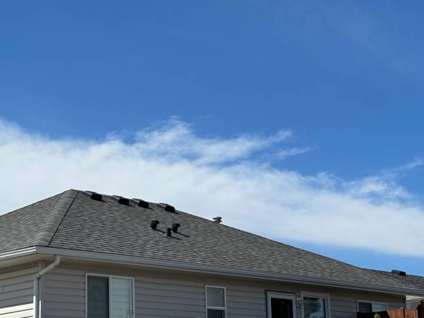 Best Slate Roofing  in Homedale, ID